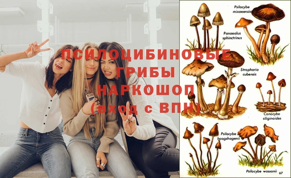 винт Белоозёрский