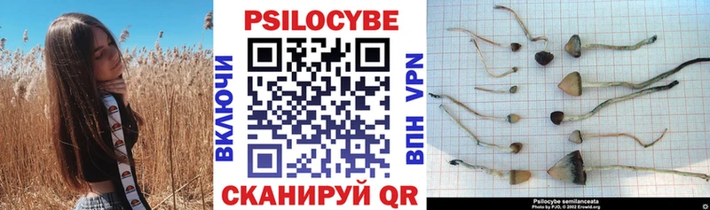 это формула Малоярославец Галлюциногенные грибы прущие грибы