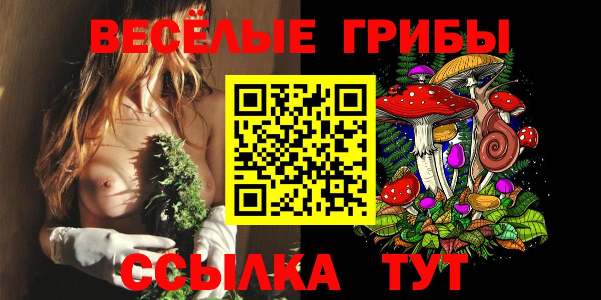 цены наркотик  Галлюциногенные грибы GOLDEN TEACHER  Вход с VPN  Малоярославец 